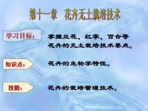 花卉无土栽培技术