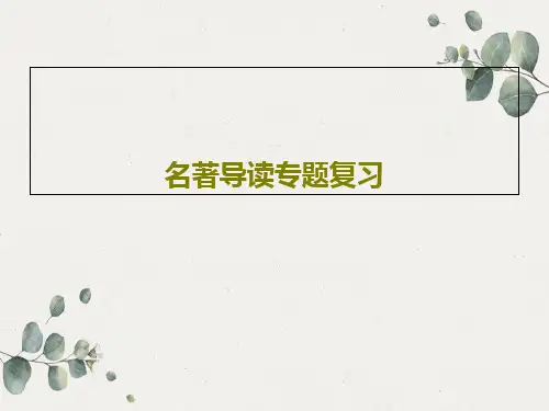 名著导读专题复习24页PPT