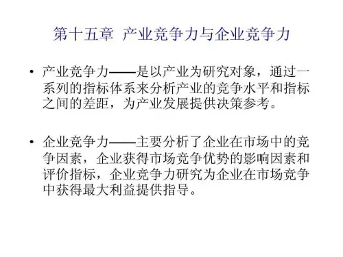 产业经济学课件15