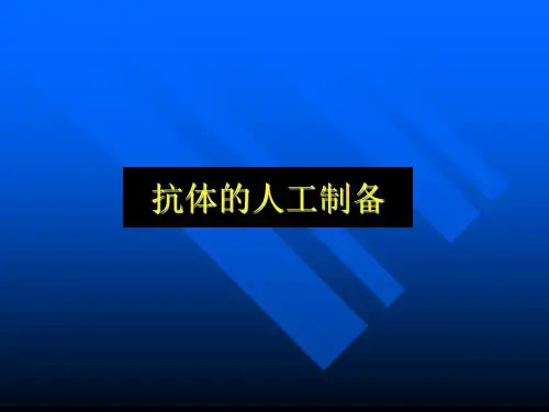 抗体的人工制备