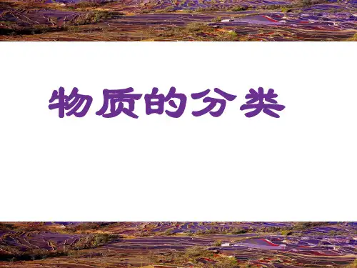 物质的分类