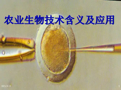 农业生物技术的含义及应用PPT课件