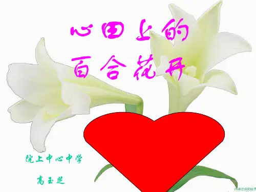鲁教版《心田上的百合花开》ppt课件3