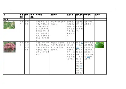 植物分类介绍_叶木类灌木类花木类