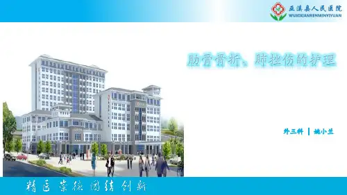 肋骨骨折、肺挫伤的护理]