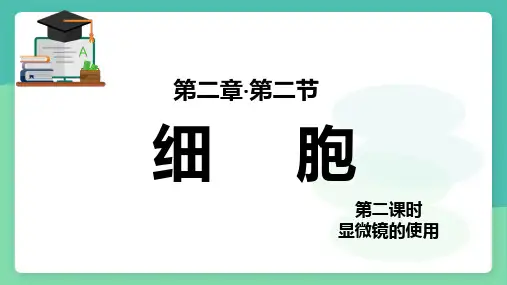 细胞(显微镜的使用)课件--浙教版科学七年级上册