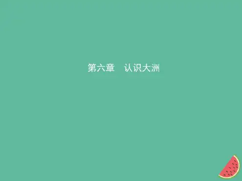 2019年中考地理总复习七下第六章认识大洲课件湘教版(20200730183702)