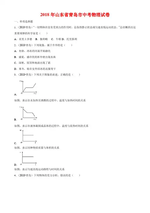 2018年山东省青岛市中考物理试卷(Word)