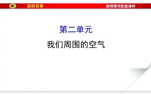 2017九年级化学总复习第二单元