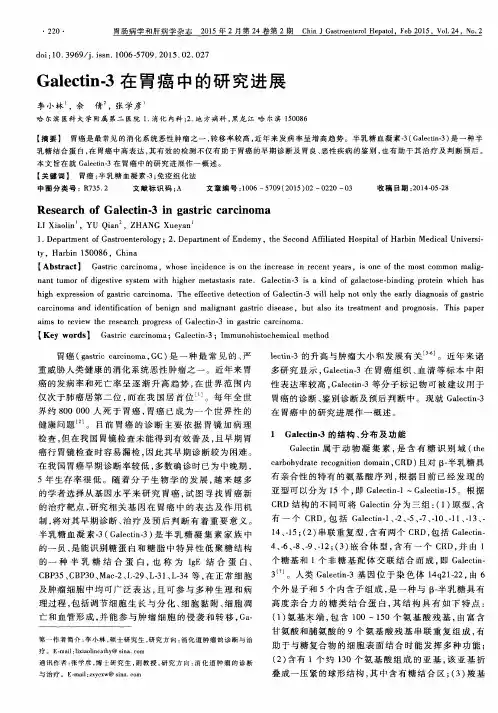 Galectin-3在胃癌中的研究进展