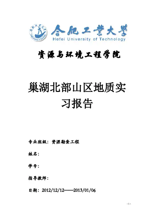 巢湖实习报告