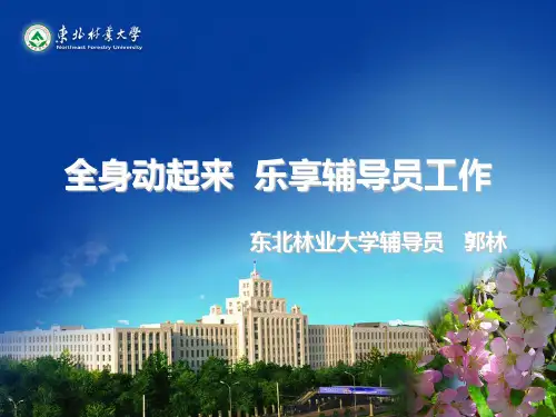 辅导员工作交流PPT
