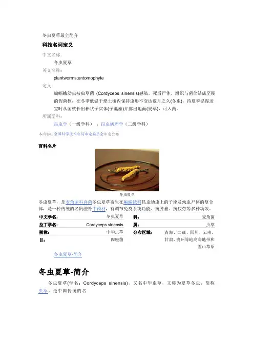冬虫夏草最全简介