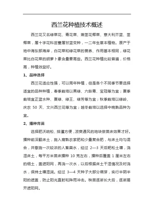 西兰花种植技术概述