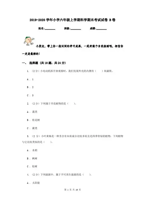 2019-2020学年小学六年级上学期科学期末考试试卷 B卷