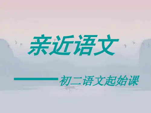 《语文的魅力》