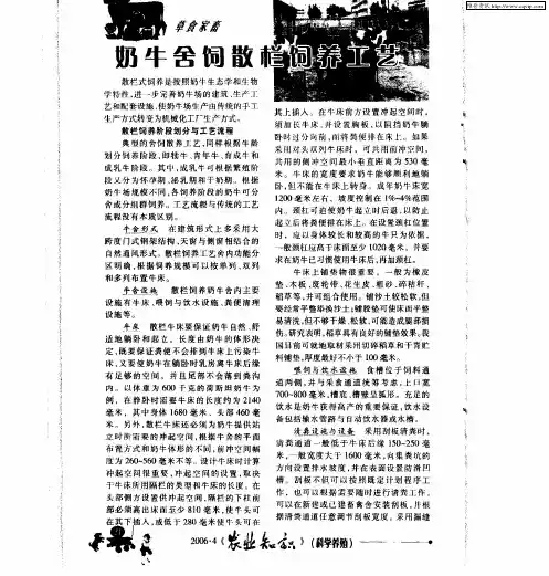 奶牛舍饲散栏饲养工艺
