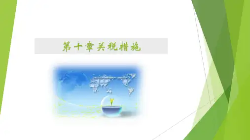 第十章 关税措施[18页]