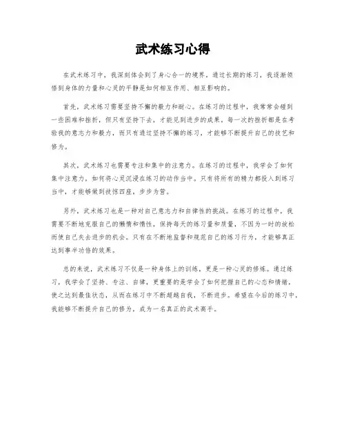 武术练习心得