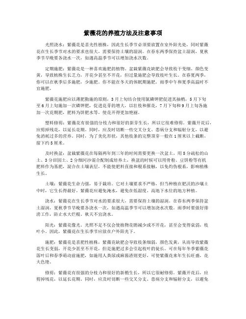 紫薇花的养殖方法及注意事项
