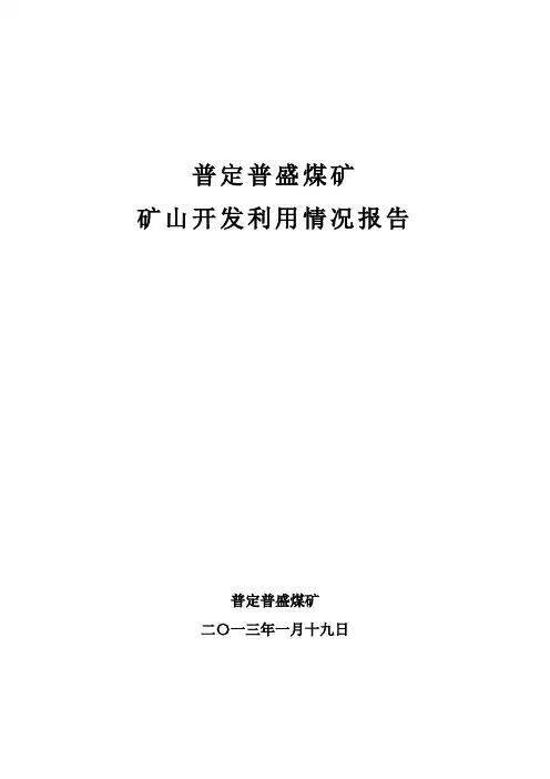 新矿山资源开发利用情况报告
