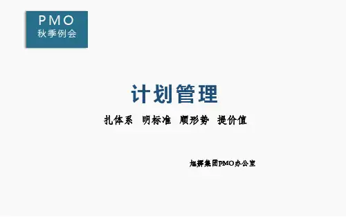 房地产项目计划管理