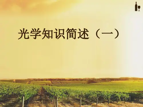 光学知识简述PPT课件
