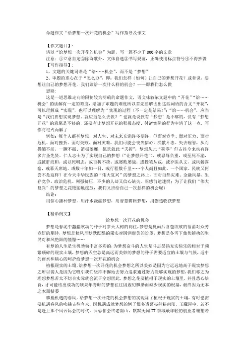 梦想话题作文