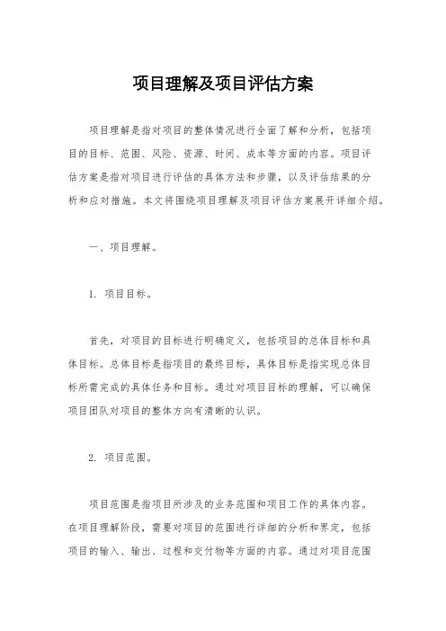 项目理解及项目评估方案