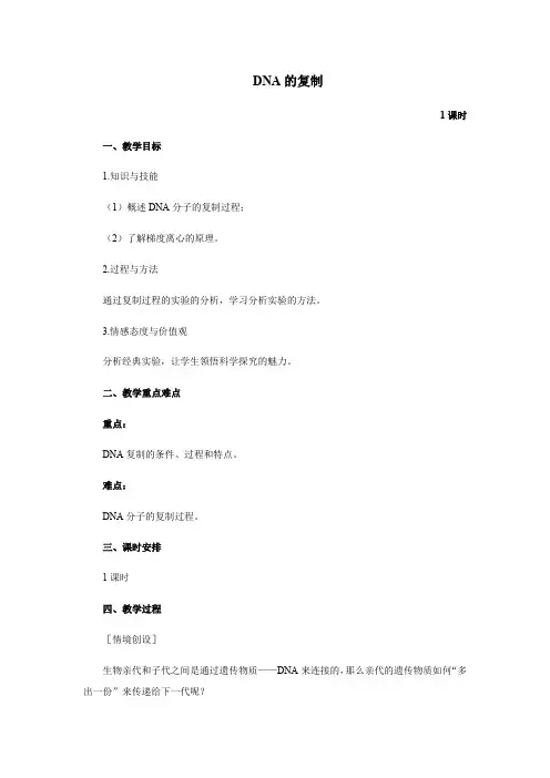 3.3 DNA的复制-人教版高中生物必修二获奖教案