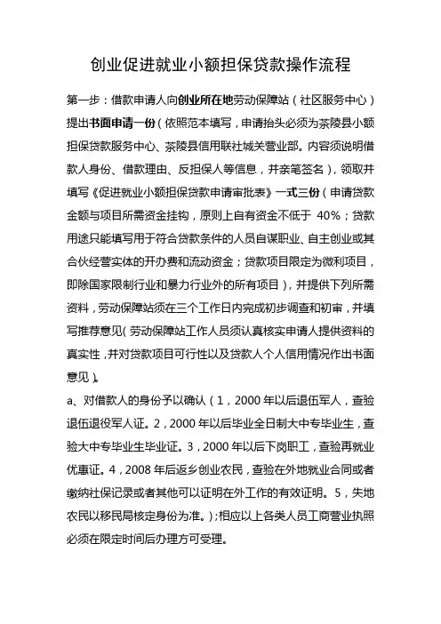 创业促进就业小额担保贷款操作流程(新)