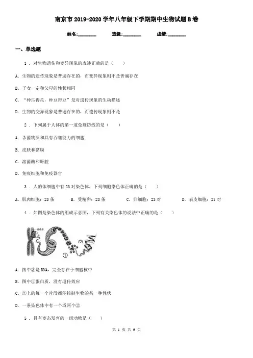 南京市2019-2020学年八年级下学期期中生物试题B卷