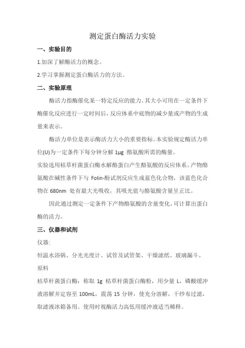 测定蛋白酶活力实验