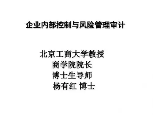 企业内部控制与风险管理审计教材(PPT 65张)