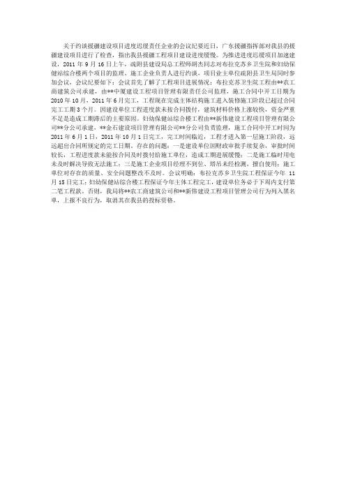 建设项目进度会议纪要