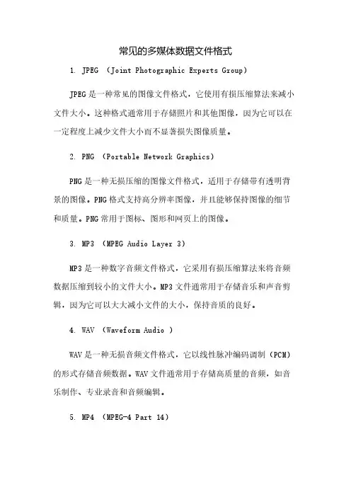 常见的多媒体数据文件格式 2