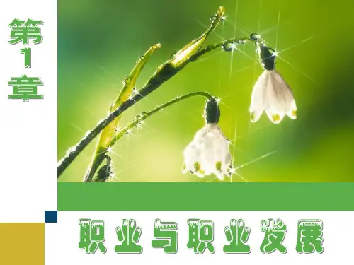 第1章职业与职业发展