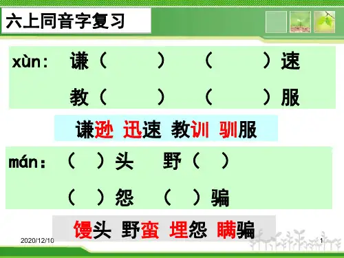【201501】六上语文同音字PPT教学课件