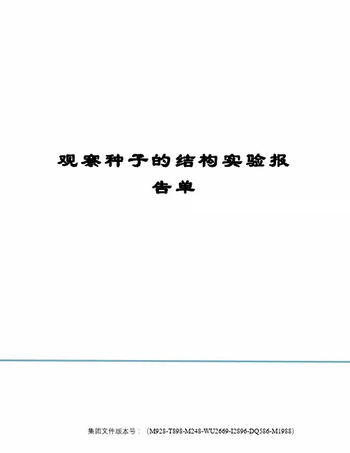 观察种子的结构实验报告单