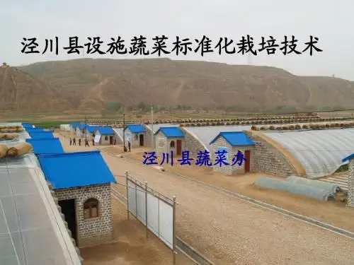 设施蔬菜标准化栽培技集成