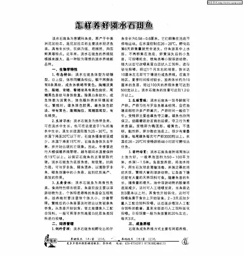怎样养好淡水石斑鱼