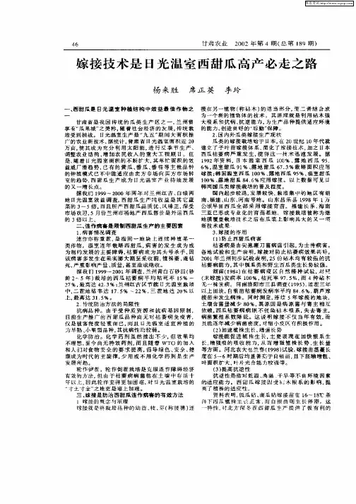 嫁接技术是日光温室西甜瓜高产必走之路