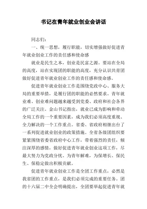 书记在青年就业创业会讲话