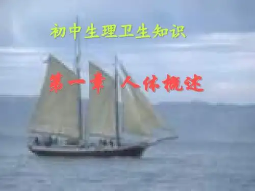 七年级生物人体概述