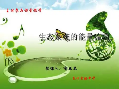 生态系统的能量流动ppt课件(自制)27