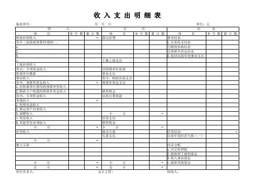 收入支出明细表--