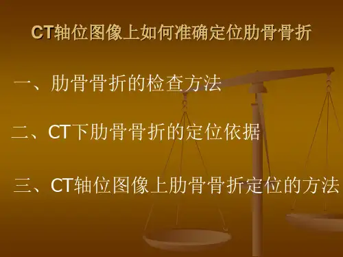 肋骨骨折计数方法