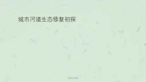 河道生态修复课件
