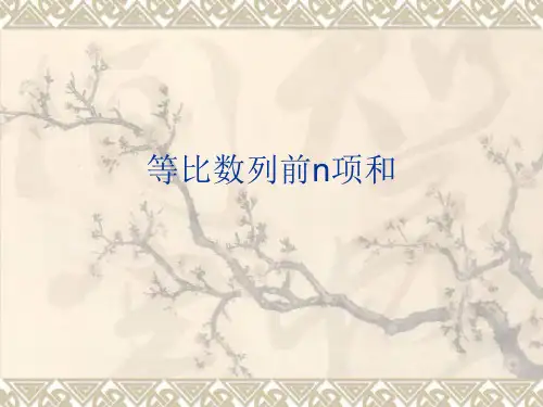 等比数列求和ppt