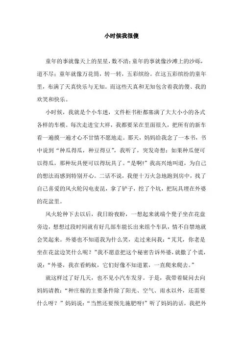 小时候我很傻